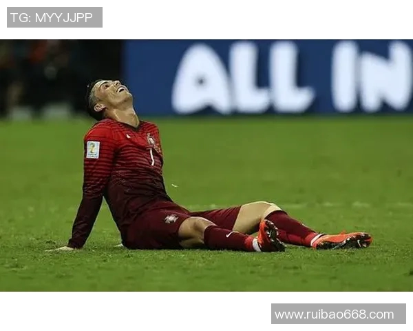 足球明星内德高清图片欣赏及其职业生涯精彩瞬间回顾