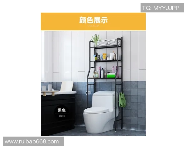 体育器材室置物架的设计与应用探讨提升空间利用率与器材管理效率